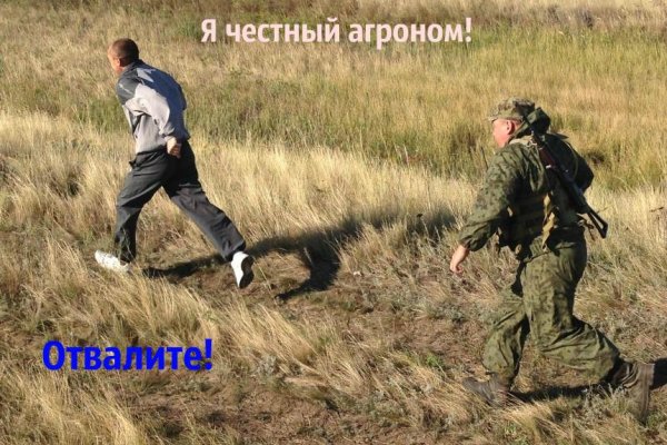 Кракен сайт маркет