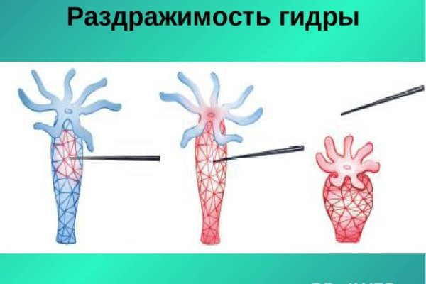 Кракен сайт kr2web in официальный ссылка